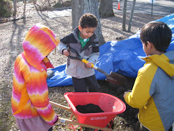 Filling the wheel barrow