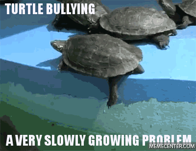 [Image: Raising+Awareness+For+Turtle+Bullying.gif]