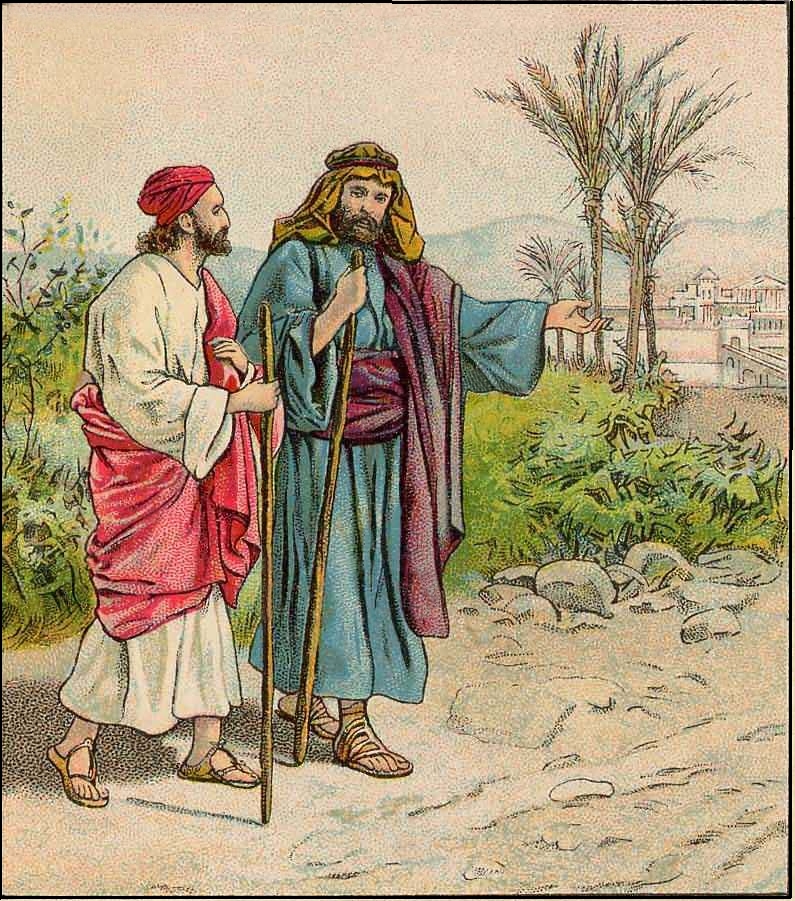 Reach Paradise Barnabas