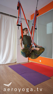  yoga aereo, formacion, profesores, asociacion, diploma, pilates aereo, aeroyoga, aeropilates, swing, suspension, teachers training, madrid, españa, galicia, andalucia, valencia, catalunya, barcelona, euskadi, donisti, irun, bilbao, castilla, rafael martinez