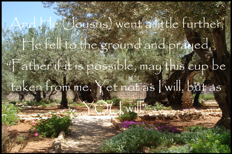 SUNDAY SCRIPTURE April 1, 2012 StoneGable