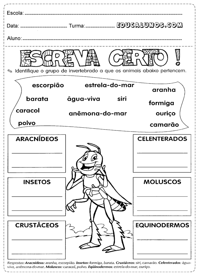 Identifique o grupo de invertebrado a que os animais pertencem