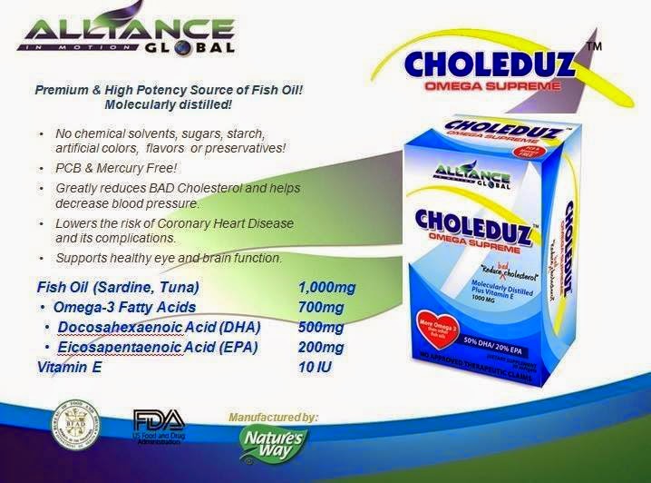 ALLIANCE IN MOTION GLOBAL CHOLEDUZ