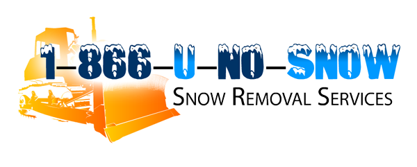 Snow Removal Richmond Hill Business