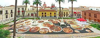 ALFOMBRAS CONFECCIONADAS CON TIERRA