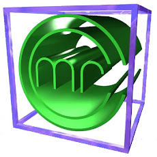CONSTRUCCIONES CELESTINO MARTIN