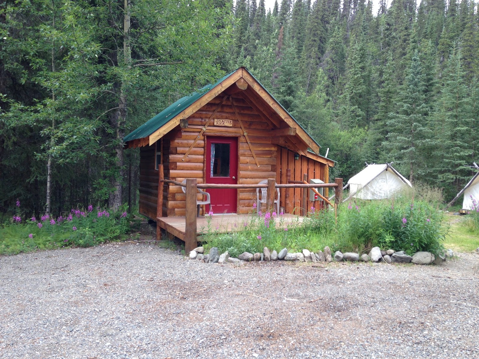 Meng S Travels Denali National Park