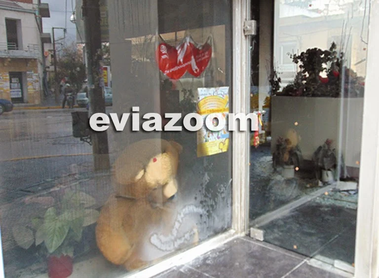 Σοκ στην Χαλκίδα: Κουκουλοφόροι έκαψαν το ανθοπωλείο του Σπύρου Δαριβέρη - Ο επιχειρηματίας μιλά αποκλειστικά στο eviazoom.gr - «Με κατέστρεψαν, δεν έχω με κανέναν προστριβές...» (ΦΩΤΟ & ΒΙΝΤΕΟ)