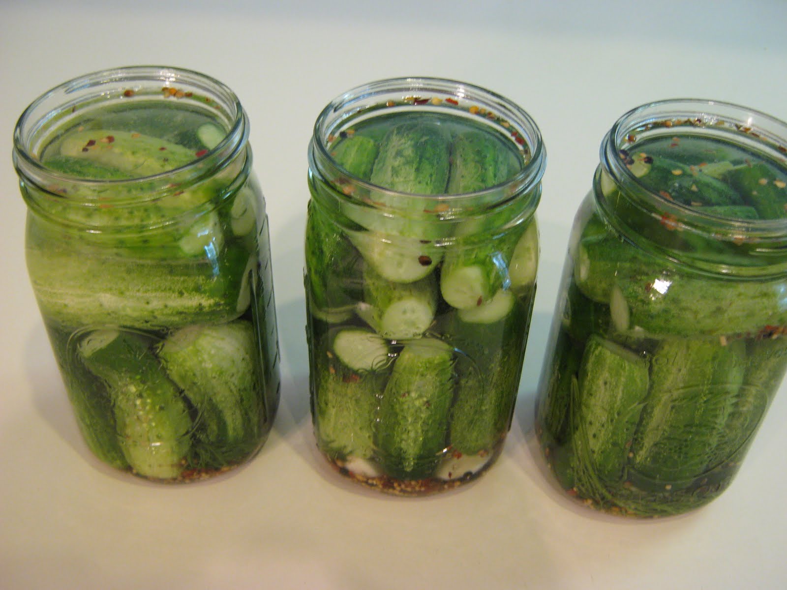 FakeIt Frugal Fake New York Deli Style Half Sour Pickles