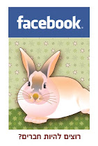 הפייסבוק של שורוק - נקודת עיצוב קטנה