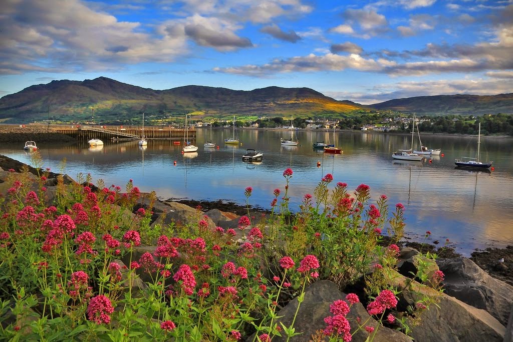 Warrenpoint, my home