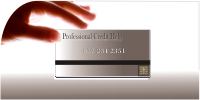 Professional Credit Help