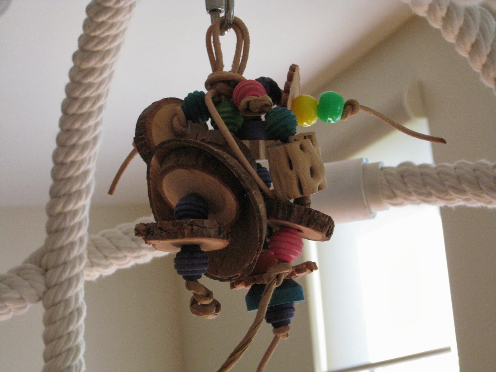 Mabel Serendipity Made my own homemade parrot toys!