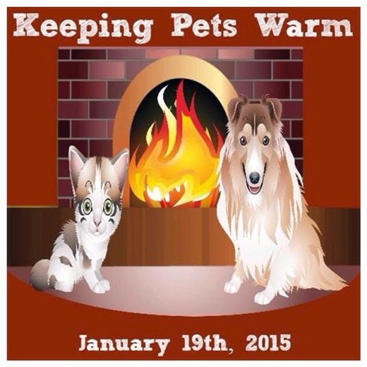 Cold? What Cold? Keeping Pets Warm In The Winter Dawg Business It's