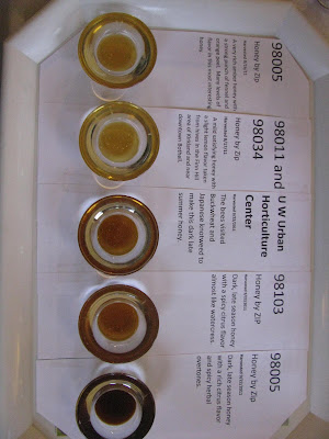 Seattle Urban Honey - Raw Honey Tasting Guide