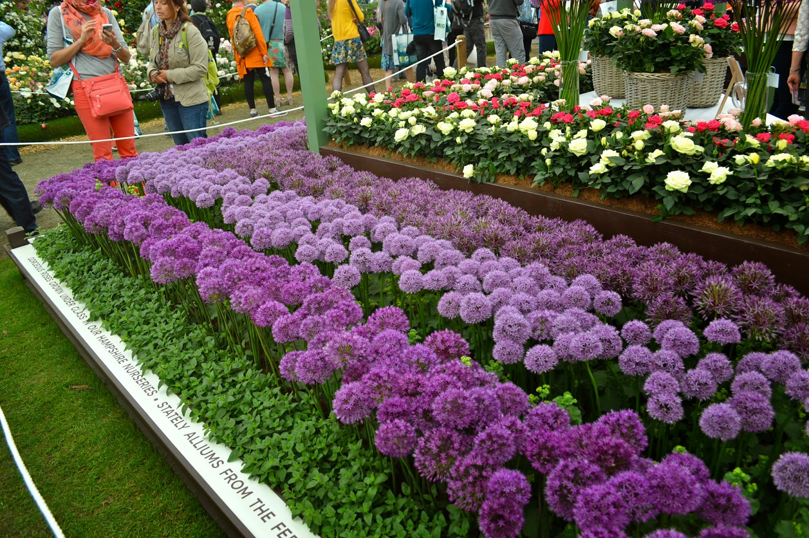 Alexandra D. Foster Destinations Perfected London, England RHS Chelsea Flower Show