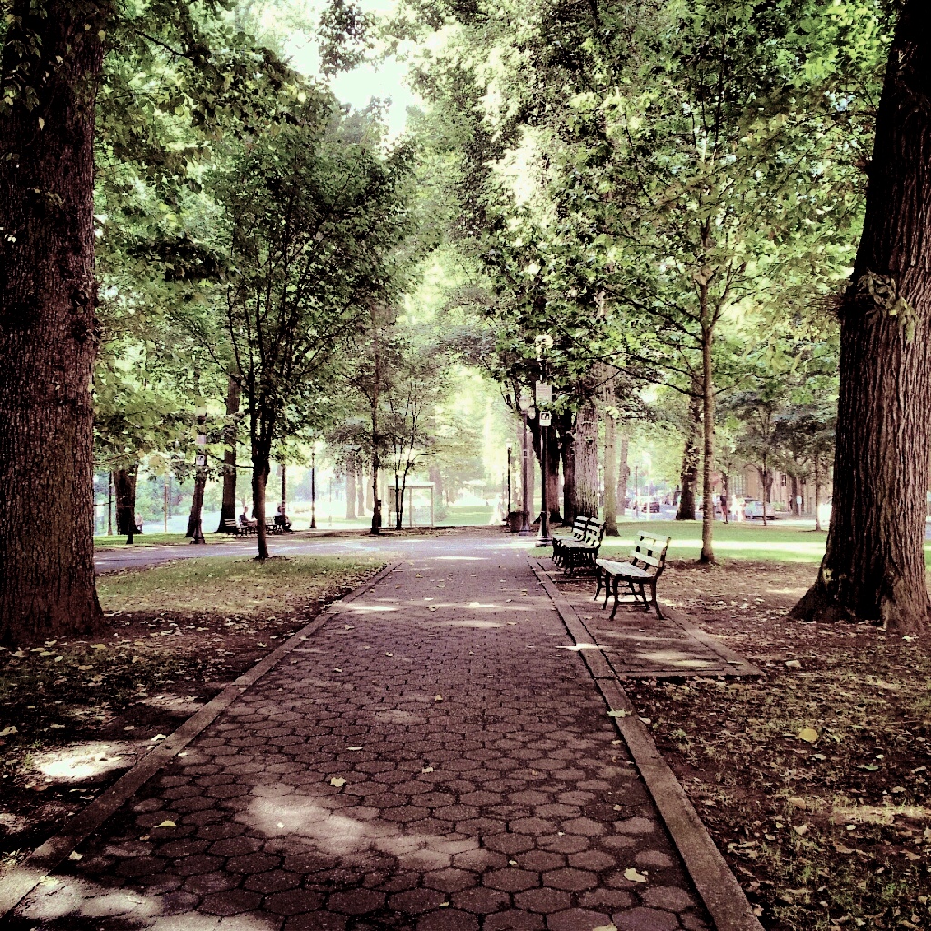 Portland, Oregon "A City Full Of Trees"