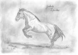 O Cavalo Crioulo: Vamos desenhar?