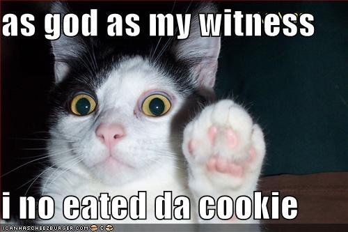 Funny Animals Funny Saying-2012 Funny Saying Collection Funny Animals Funny Saying-2012 Funny Saying Collection