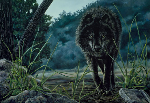 Black Wolf Hunting