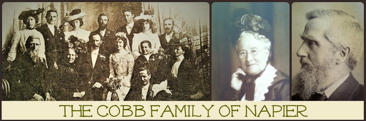 The Cobb Family of Napier