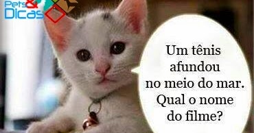 Minha Ideiaa Piadas