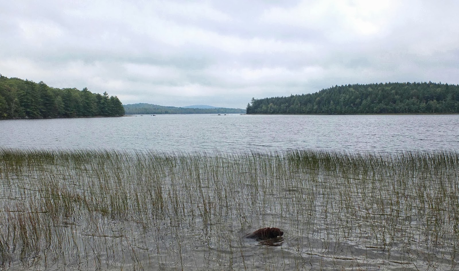 Hiking in Maine with Kelley 9/21/13 Hidden Ponds