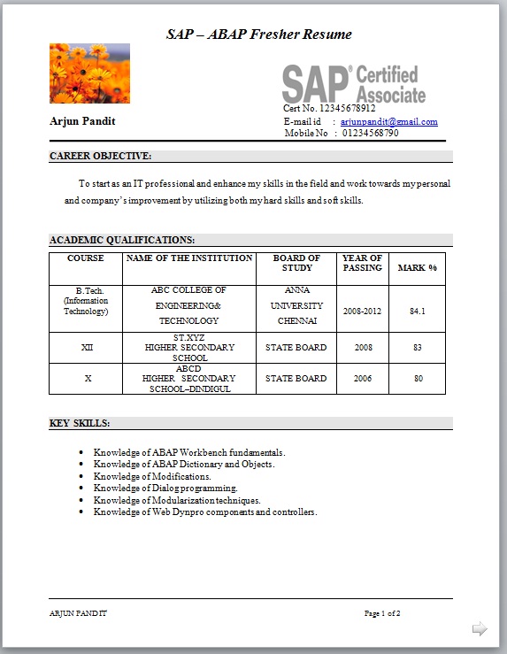 Resume format for freshers objective