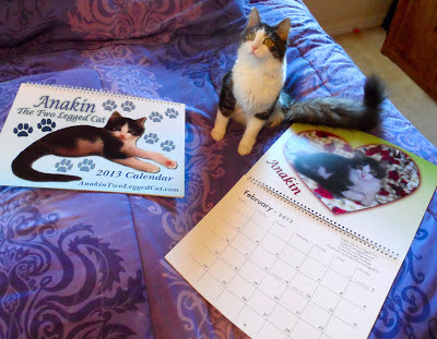 2013 Anakin Two Legged Cat Calendar