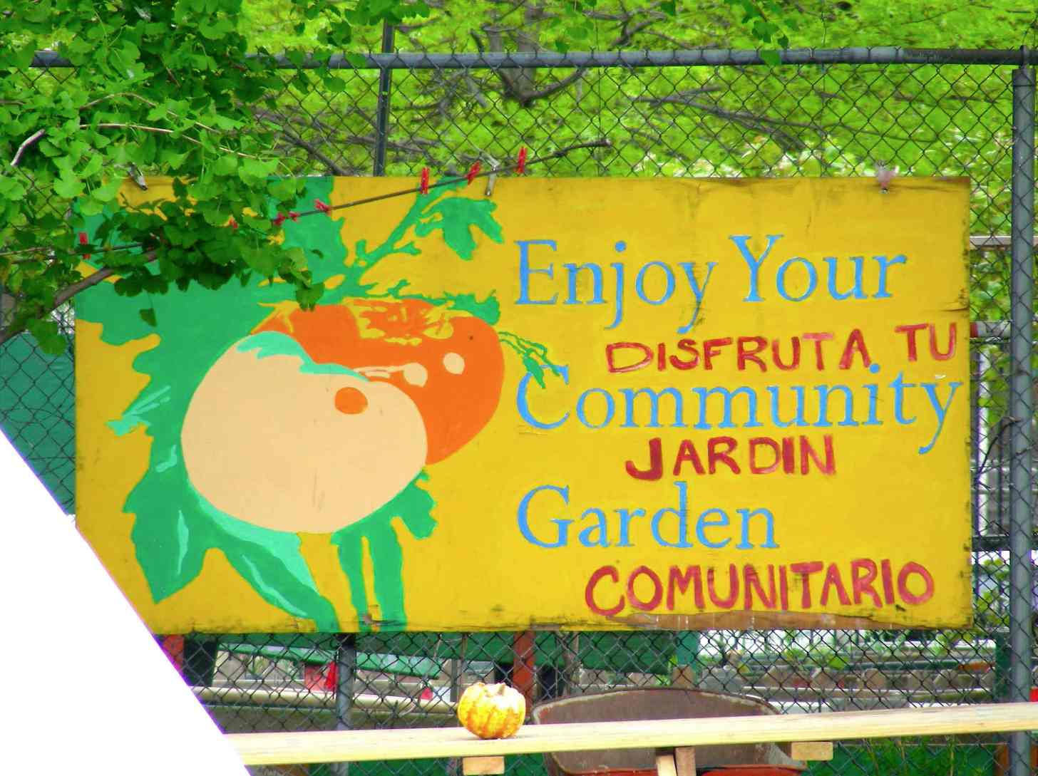 The Indian wants the Bronx