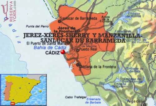 Denominación de Origen Jerez y Manzanilla 
