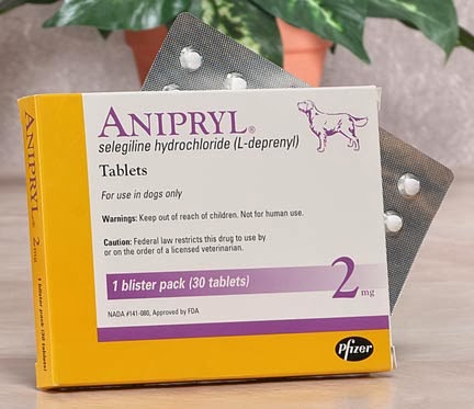 anipryl for dogs vet a concise guide to anipryl for dogs anipryl for dogs vet a concise guide to anipryl for dogs