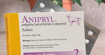 anipryl for dogs vet a concise guide to anipryl for dogs anipryl for dogs vet a concise guide to anipryl for dogs