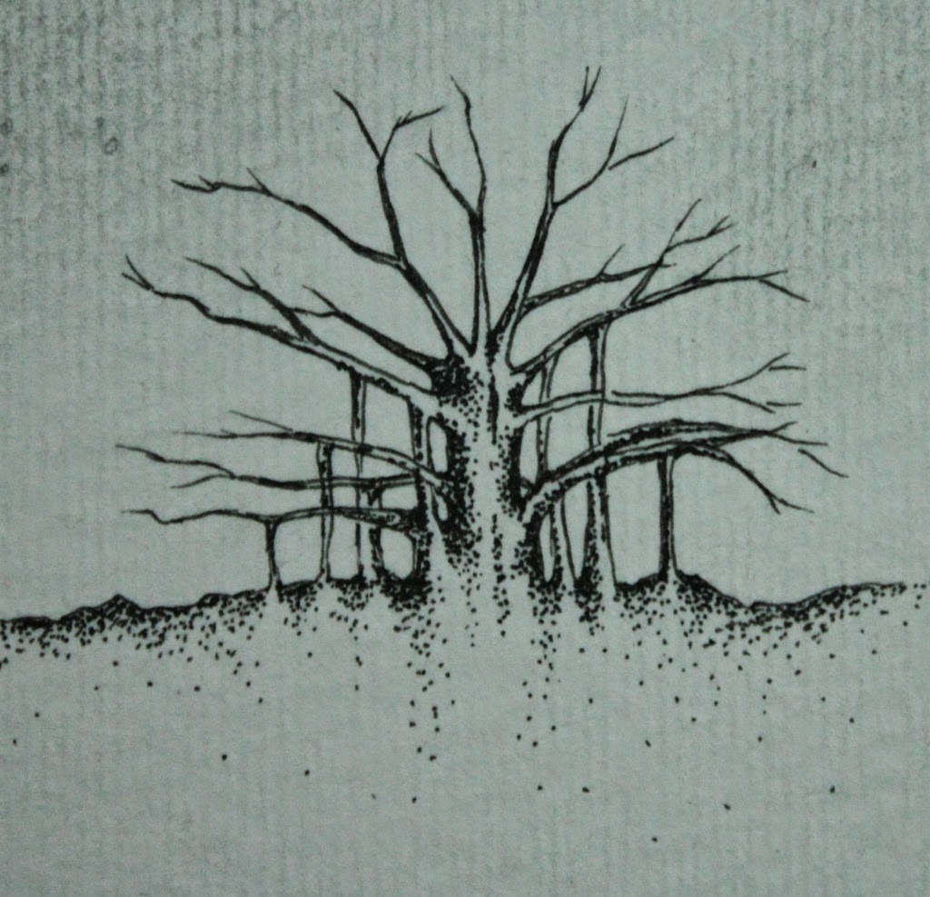 dying tree dying tree