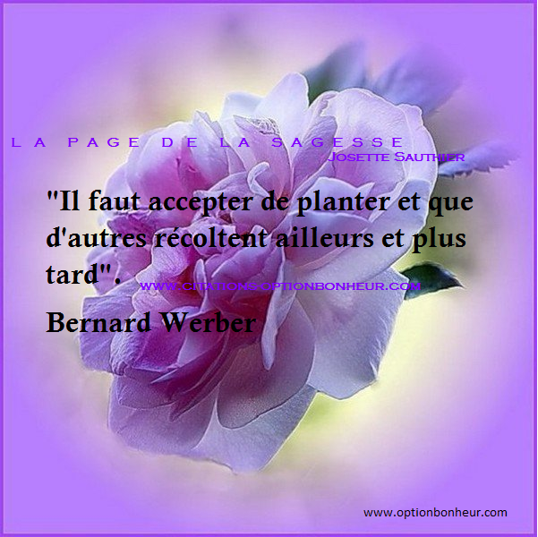 La Page De La Sagesse Citation Sur La Generosite De Bernard Werber
