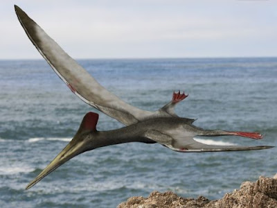 Pterodactylus