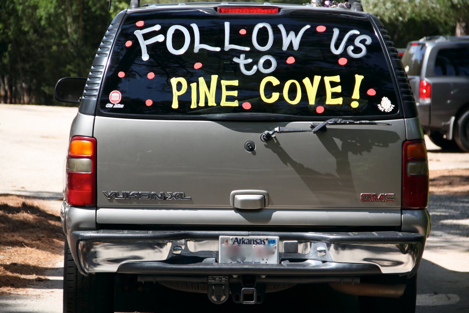 Pine Cove Logo