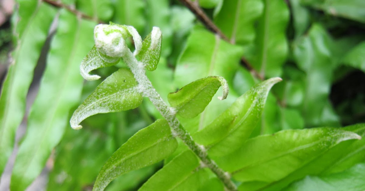 Peppa-Jo Patterns: HAPPY NEW YEAR - 2014 IS HERE&hellip;..