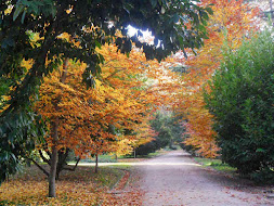 JARDINES DEL MORO