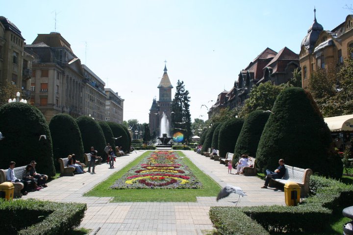 Timisoara