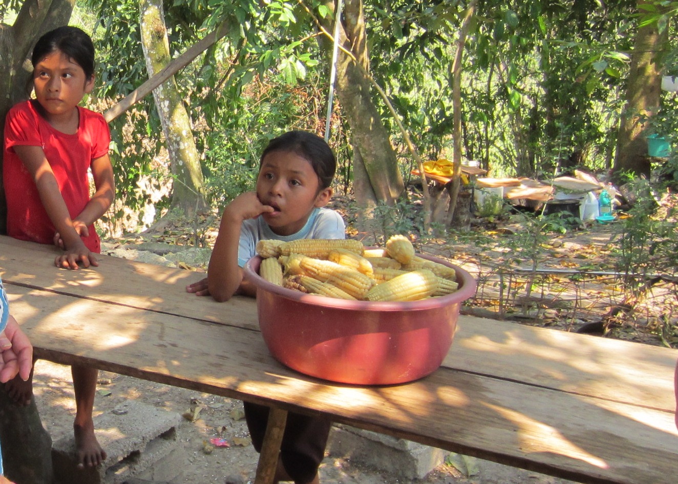 Linda's El Salvador Blog Corn is Life