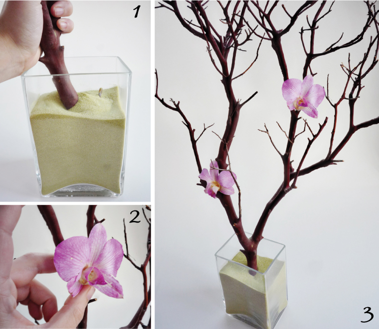 Viva Revival Interior design, graphic design and crafts Simple