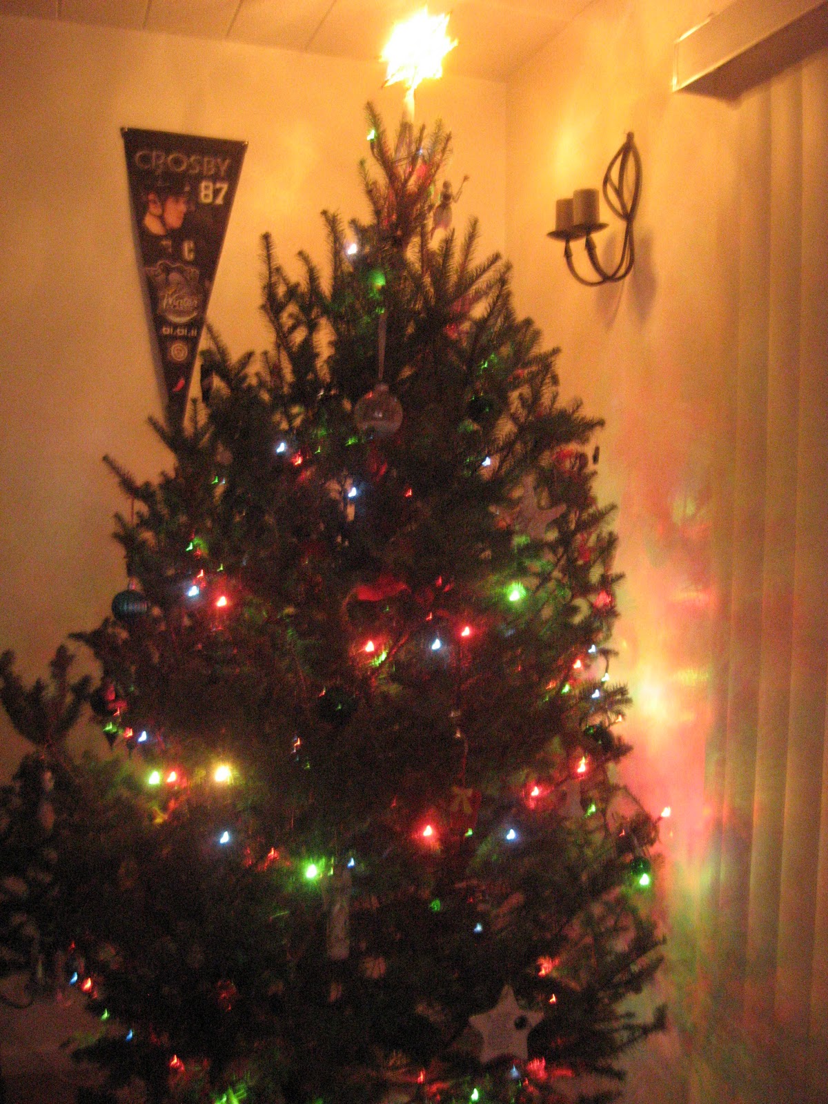 Where to get Cheap, Real Trees Femme Frugality