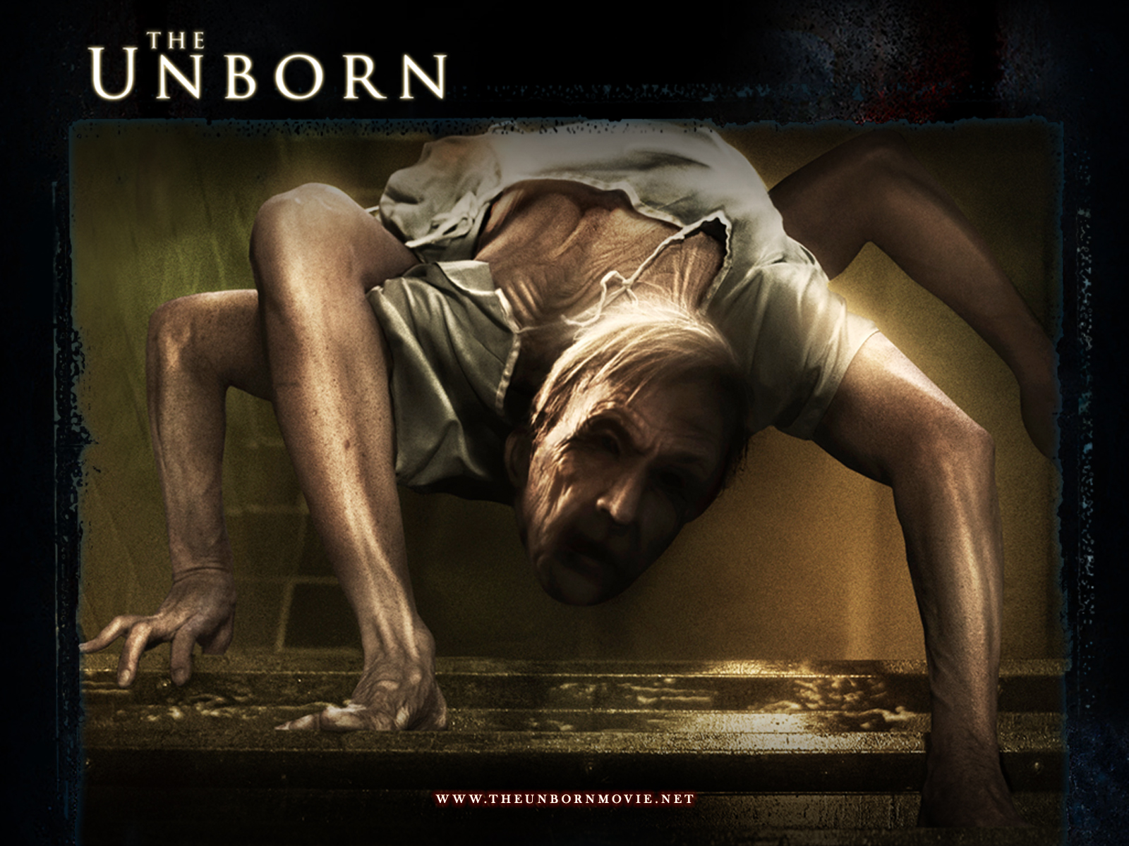 http://1.bp.blogspot.com/-qSbqmSayJrE/TVTib8_kREI/AAAAAAAAAOk/uIgmMLi7-HI/s1600/the-unborn-horror-wallpaper.jpg