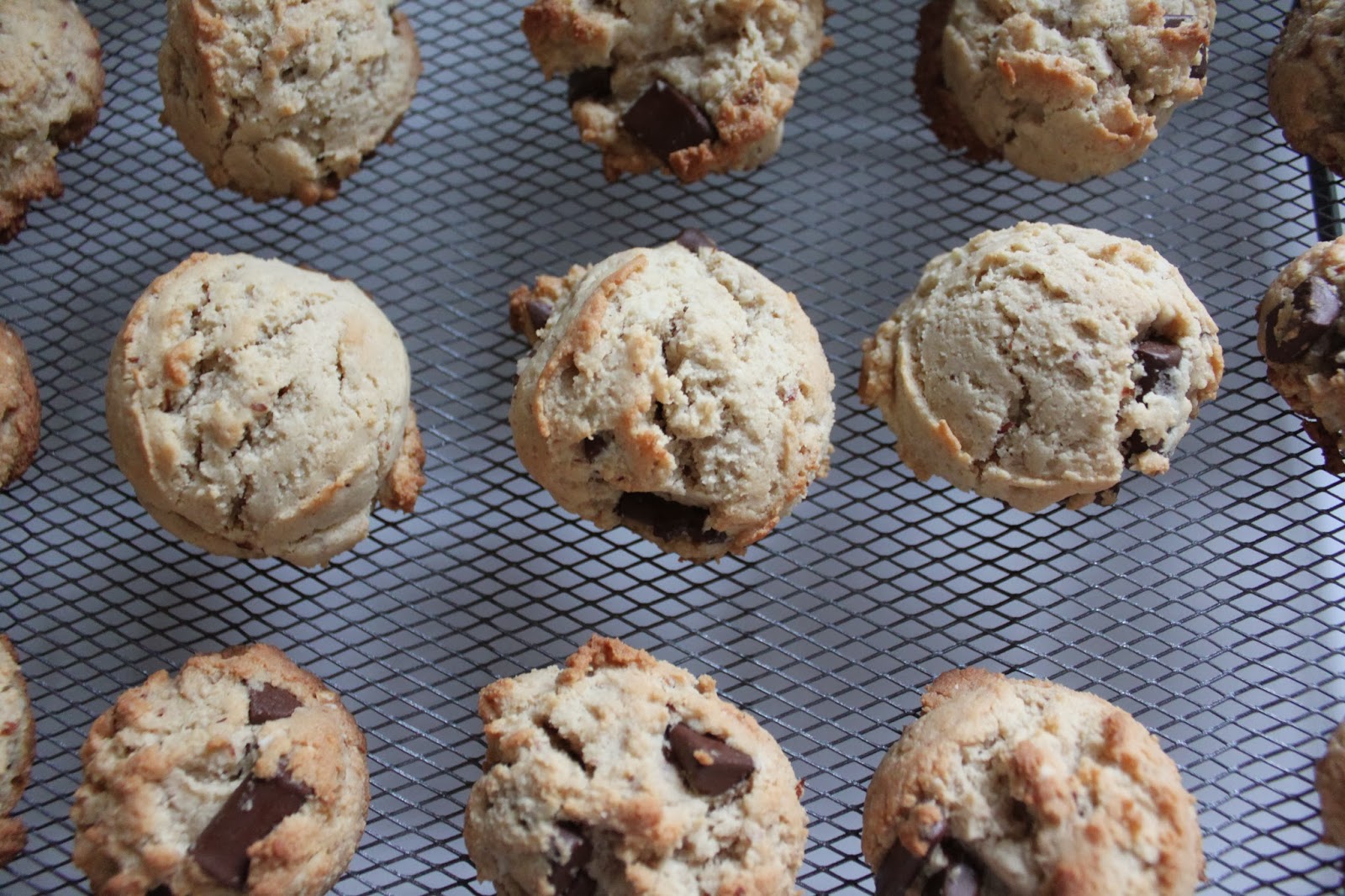 Almond Flour Chocolate Chip Cookies NO Gluten, Dairy, Sugar, Soy