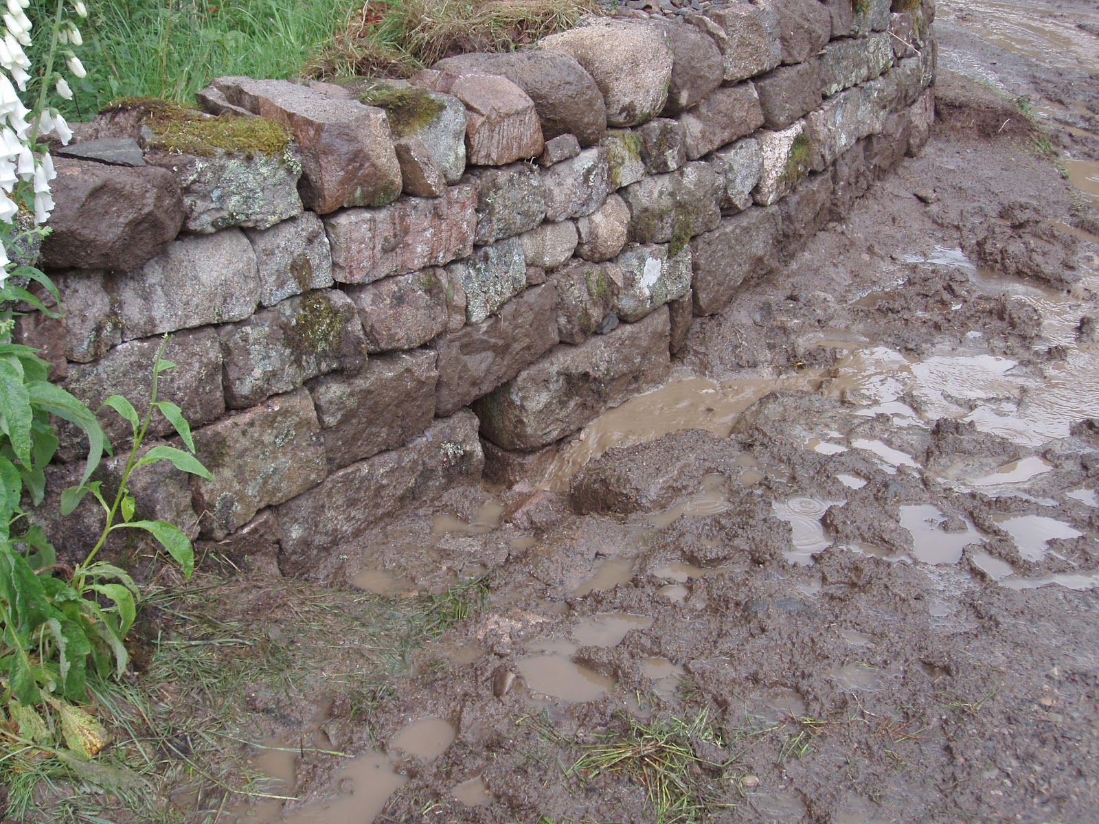 Dry Stone Walling Before and after in a Mud Hole