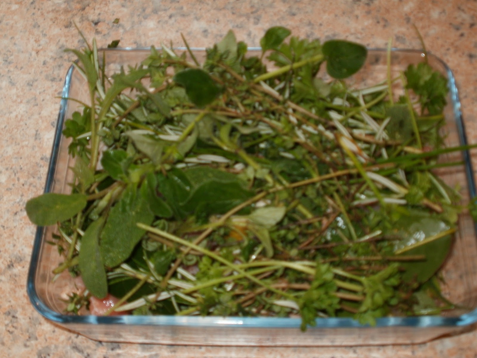 Onions and Paper Better a dinner of herbs.....