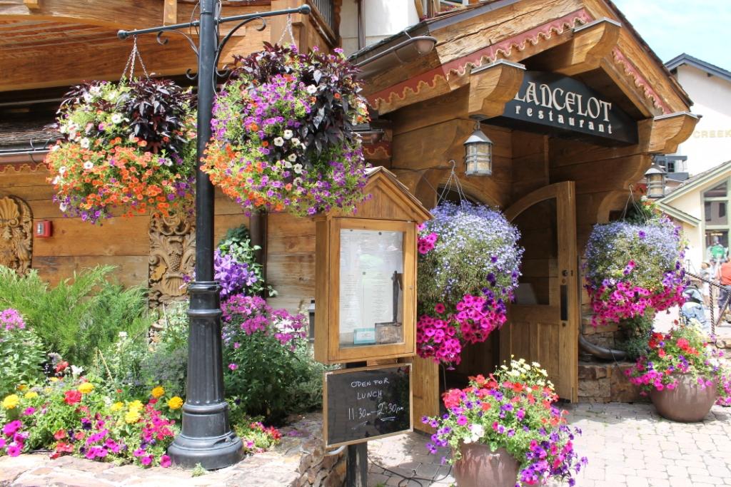 Miss Kopy Kat The Flowers of Vail