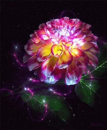 Decent Image Scraps: Animated Flower