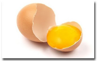 Fakta Kuning Telur, Manfaat  Kuning Telur Untuk Kucing, egg yolk, Memperindah bulu kucing, Meningkatkan stamina dan daya tahan tubuh, Mempercepat proses penyembuhan, Meningkatkan berat badan kucing